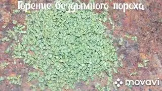 Как горит порох. Горение бездымного пороха. Like gunpowder burns. Burning smokeless gunpowder.