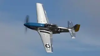 P-51D MUSTANG screaming low & loud | Hangar10 Fly-In 2018