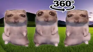 damn mommy i just wanna hamster meme 360º
