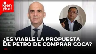Los contras de la propuesta de Petro sobre comprar cultivos de coca a campesinos