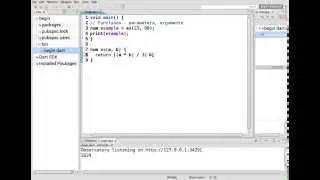 20 Learn to Program in Dart:  Functions with Parameters and Arguments