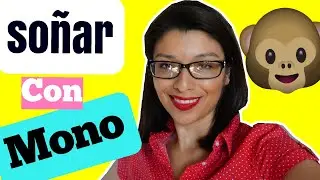 Soñar Con Un Mono o' Chango