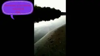 Рыбалка Урюпинск Хопёр