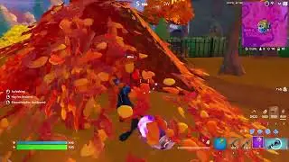 Fortnite Epischer Sieg Clip