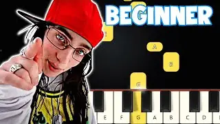 LUNCH - Billie Eilish | Beginner Piano Tutorial | Easy Piano