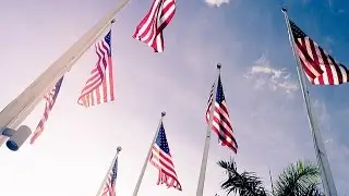 ПЛЮСЫ жизни в США. Что же хорошо в Америке?