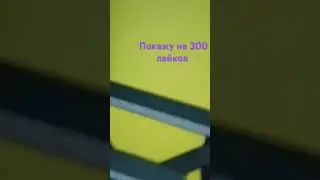 7 августа 2024 г.