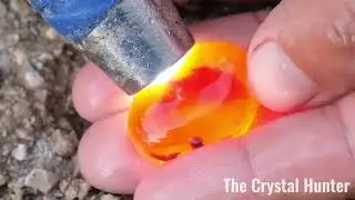 The mysterious forest gives birth to magical red gems, agate is so beautiful