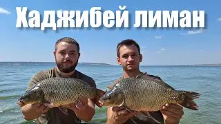 РЕЗУЛЬТАТИ РОЗІГРАШУ! Рибалка на Хаджибей лимані з ночівлею. Ловля коропа на дикарі. Рибалка 2024
