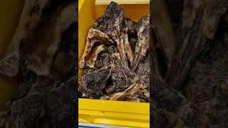 Еда для Собак в Германии