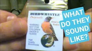 Trying Bird Whistles, What Will They Sound Like???