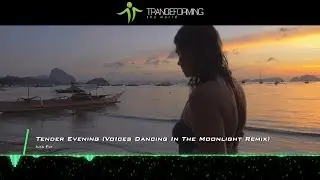 Ilya Fly - Tender Evening (VoIces Dancing In The Moonlight Remix) [Music Video] [Omniset Records]