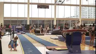 MAC Open 2020 Vault