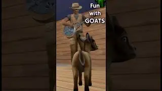 Fun things to do with mini goats! 