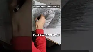 Bfa Entrance Preparation Tips for still life