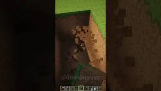 Minecraft Smallest House #shorts