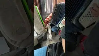 Поёт в путешествие 🧳 