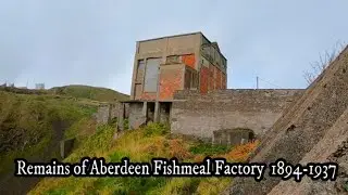 Fishmeal Factory's DIRTY LITTLE SECRET You Won't Believe What We Found!