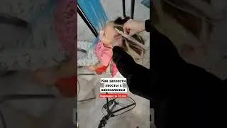 Хвосты с канекалоном для девочки. Афрохвост. Брейды в хвост afrosnezhana.ru