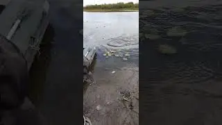 запускаем рыбу