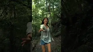 Among the ferns and waterfalls with 