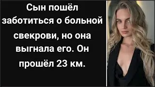 Сын пошёл заботиться о больной свекрови, но она выгнала его. Он прошёл 23 км.
