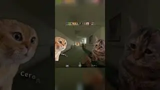 КАК РЕЛИЗИЛИ CS 2 #cs2 #vac