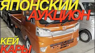 ШУШЛАЙКИ ПО КОНСКИМ ЦЕНАМ  / HONDA NBOX DAIHATSU CAST DAIHATSU TANTO SUBARU CHIFFON SUZUKI ALTO