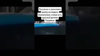 Труд о вик #школа #фонк #funk #qmiir