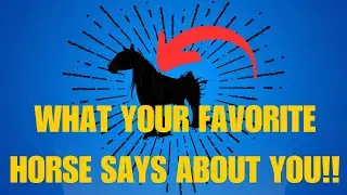 What YOUR FAVORITE HORSE says about YOU!! Part 2 Horse life