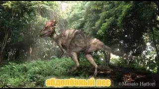 прогулки с пахи