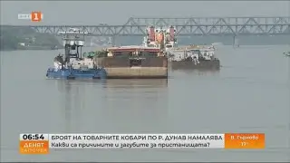 БРОЯТ НА ТОВАРНИТЕ КОРАБИ ПО РЕКА ДУНАВ НАМАЛЯВА  (27.06.2023)