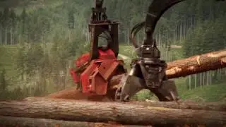 Cat® 558 LL Forest Machine Teaser