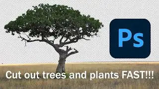Cut out trees and plants super fast using photoshop channels.