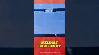 Melihat dari dekat proses membuka tutup botol. Video Originl di akun tiktok @Object2.0