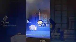 Why is there bee armor in Minecraft?