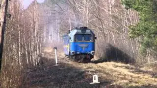 Антоновская узкоколейка / Narrow Gauge Railway Antonivka 2014