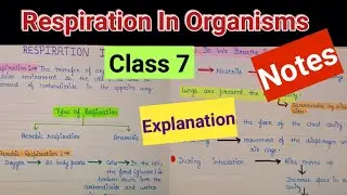 Respiration in organisms | Respiration in organisms class7 | Respiration in organisms class 7 notes