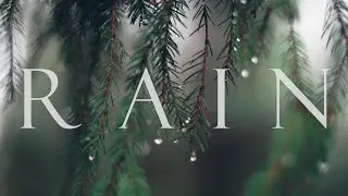 RAIN｜Cinematic short film / Rainy Nature B roll