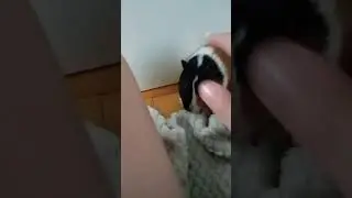 Милота🥰