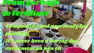 From Garbage to fertilizer Composting ni Momshie pwedi nang taniman