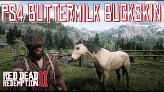 How to Find the Buttermilk Buckskin Kentucky Saddler at Pronghorn Ranch in PS4 Red Dead Redemption 2