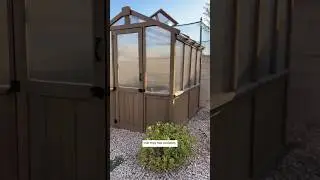 🌱 Step inside our greenhouse for a tour! #greenhousetour #greenhouse #backyardgardening