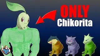 Can You Beat Pokemon Silver With Only A Chikorita?