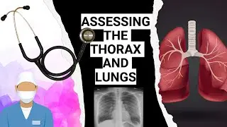 ASSESSING THE THORAX AND LUNGS: IMPORTANCE AND TECHNIQUES