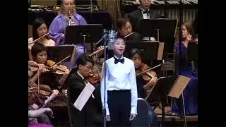 Howard Blake - The Snowman (Walking in the Air) Gabriel Ma