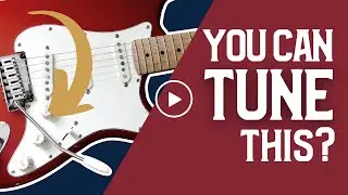 You Can Tune Your Whammy Bar?
