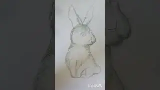 Как нарисовать кролика🐇