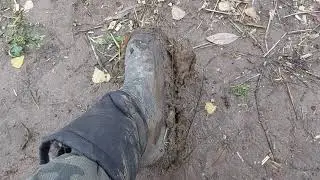 Исследование окрестностей 