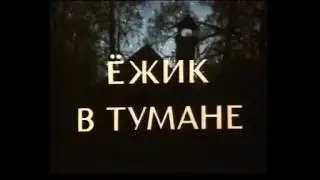 Ёжик в тумане